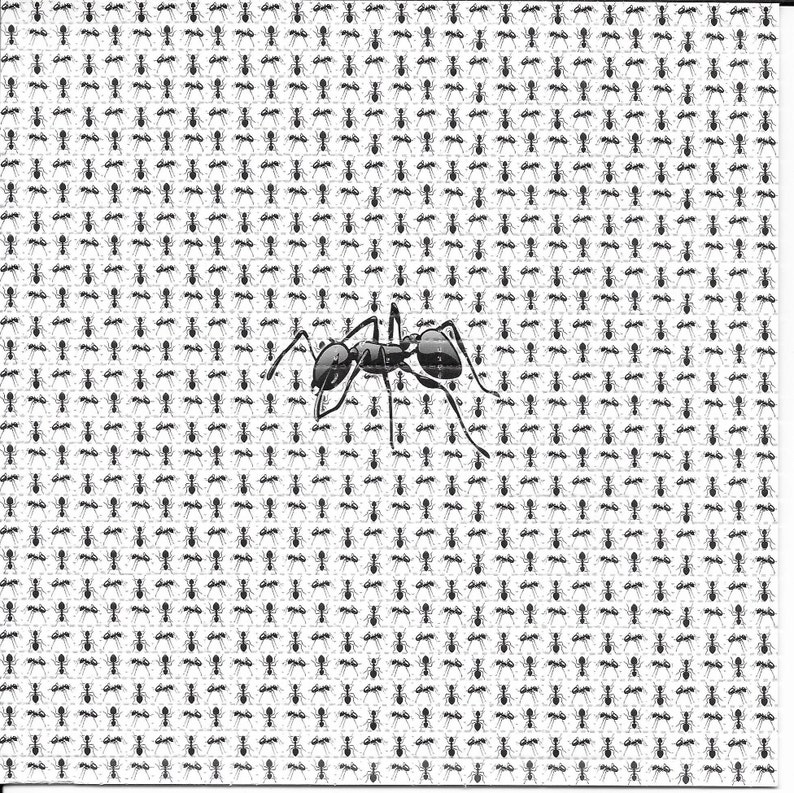 النمل الحيوان مخدر LSD حمض الح - مراجعة Ink Blotter Paper وسعره
