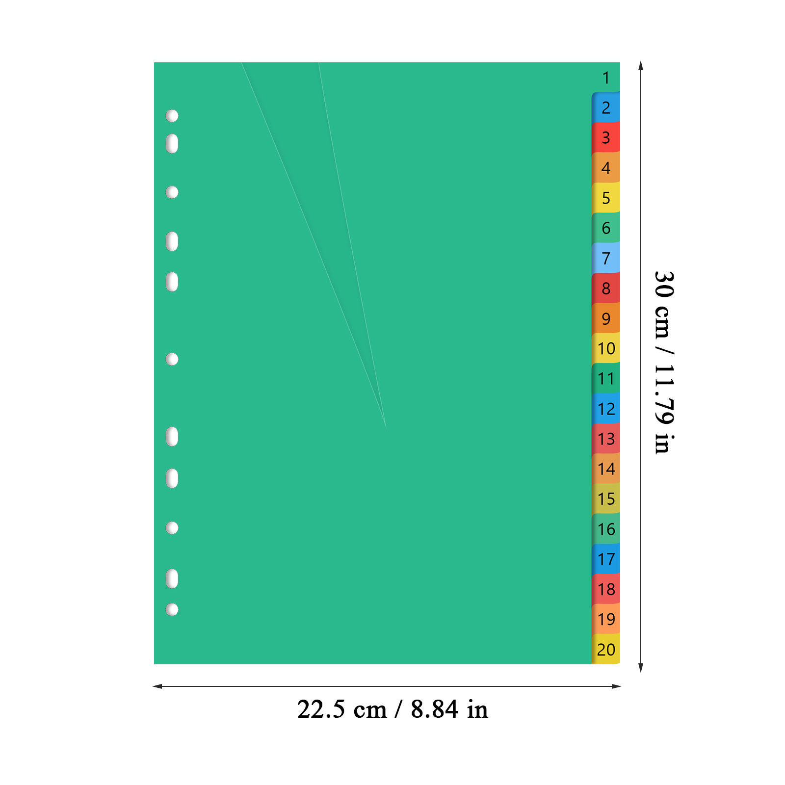 فواصل بلاستيكية ملونة مقاس A4  - مراجعة Tab Divider A4 وسعره