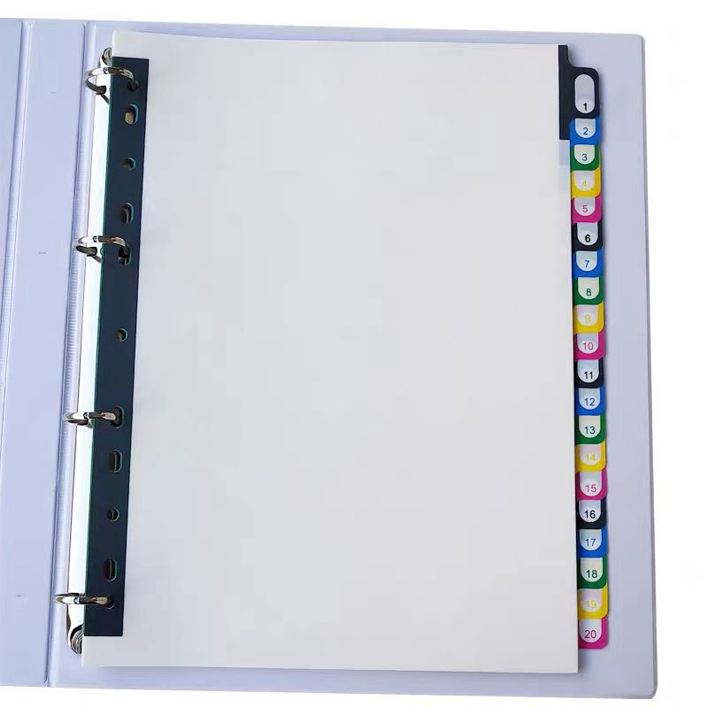 5/10/20 ورقة/مجموعة A4 مقسم صف - مراجعة Tab Divider A4 وسعره